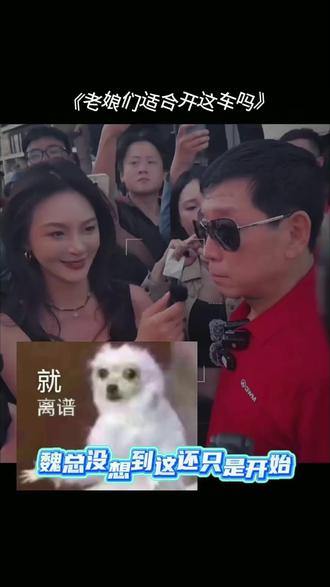 这不是欺负老实人吗#魏建军 #长城汽车 #坦克300