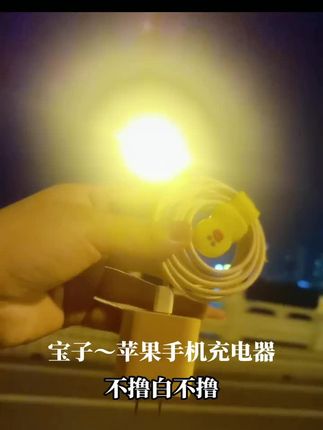 #充电器 #薅羊毛的快乐 #普通人逆袭 #充电器怎么选 #数据线