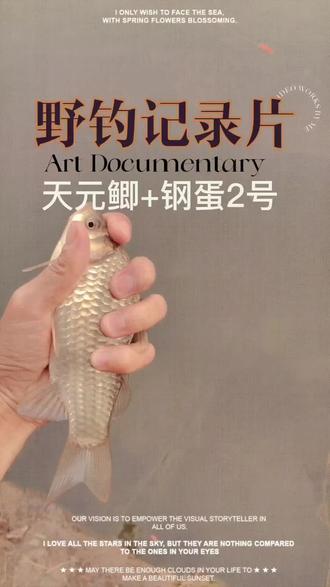 #钓鱼 #野钓 #冬天鲫鱼饵料配方 冬天什么饵料最好用啊