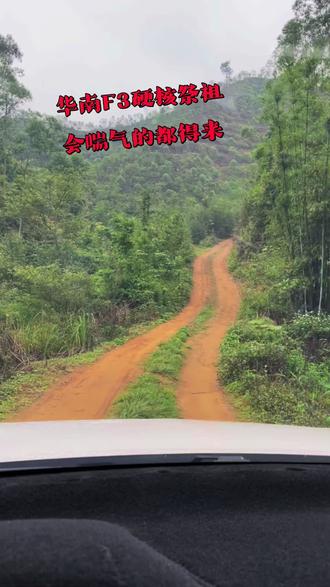 一年一度的清明节拜山,华南F3上线之太公太婆你在哪,会喘气的都得来,哈哈 ,山顶见#清明祭祖 #华南f3祭祖拜山的场景