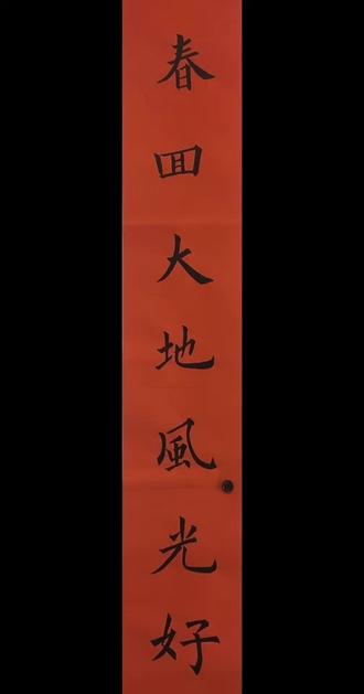 春联书写教学——“春回大地风光好”#中国汉字 #汉字书写 #水墨书法 #学习汉字 #中国字