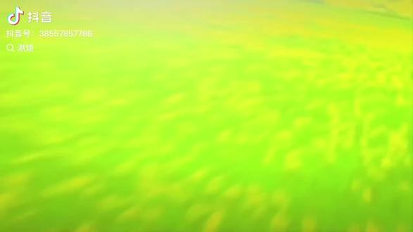 从主播那里要来的,我借用一下