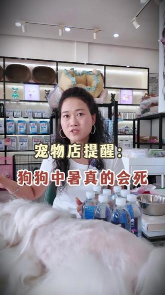 狗狗中暑不是喘一喘那么简单,严重中暑的死亡率可能高达50%#狗狗中暑 #宠物中暑 #夏天养狗注意事项 #柬埔寨养狗