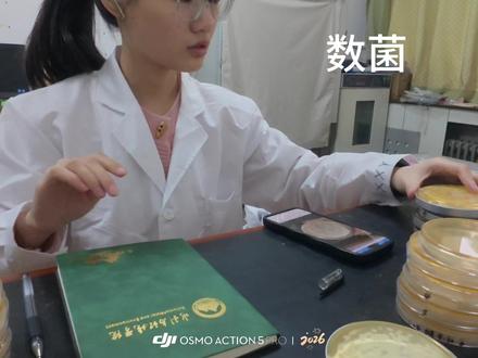 不懂就问,为什么青春偶像剧不拍我们研究生🤔#实验室日常