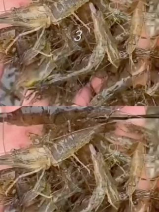 视频同款好物下方小黄车下单