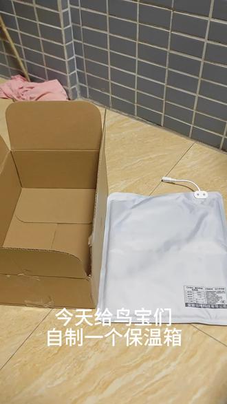 小虎皮鹦鹉到家第三十八天,玄凤鹦鹉到家第十一天,大头到家第二十五天#虎皮鹦鹉 #玄凤鹦鹉 #鹦鹉日常vlog