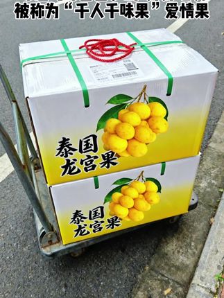 哇噻~这是我目前最喜欢吃的水果——龙宫果 龙宫果混合着多种水果的特征!气味和味道都很梦幻奇妙! 口感有点像荔枝,咬起来QQ弹弹水分也更多! 味道也很特别有点像荔枝、甜橘和龙眼三者混合在一起的味道,非常奇妙梦幻,同时清香沁人醇美、余香绵绵... 没有吃过的宝子们真的可以尝尝鲜~绝对是味蕾的盛宴,从此爱上这个被称为“爱情果”的水果~吃出爱情的味道😄#龙宫果 #鲜嫩多汁 #金秋收获季 #国庆 #好吃到停不下来 @DOU+上热门