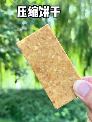 出去玩,长途,爬山可以备上这款压缩饼干#饼干 #压缩饼干 #零食推荐