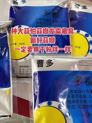 大蒜瓣防霉防根腐 #三农 #三农流量扶持计划 #三农种植 #大蒜种植 #超便宜超划算 @DOU+小助手
