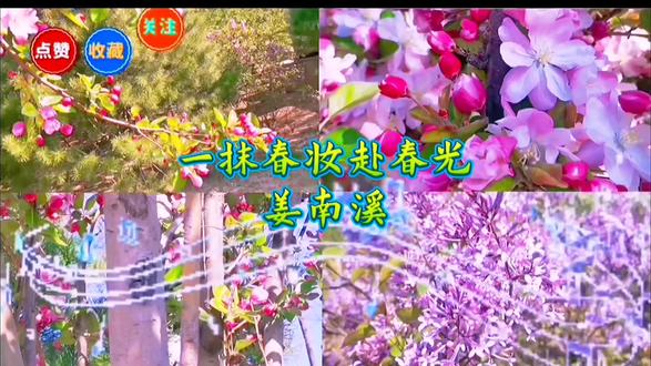 #重温经典老歌 #创作者中心 #创作灵感 @抖音小助手 #花不弃