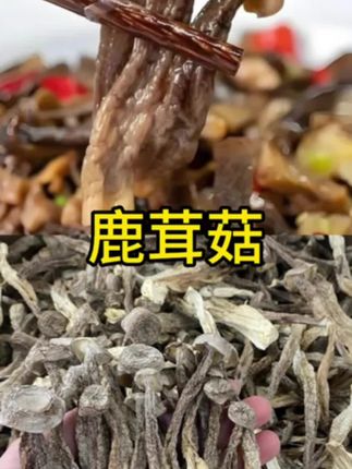 姐妹们,今年头茬的鹿茸菇,炖汤炒肉烫火锅,又鲜又脆,17 块 9 到手 5 包,可以试试