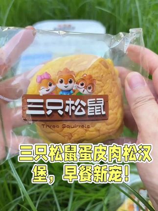 三只松鼠终于买到了,一上线就断货今天终于抢到了#宝藏零食 #推上热门🔥 #减脂好物 #太好吃了 #充饥小零嘴
