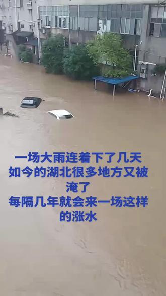 #涨水了 #暴雨 #涨水了大家注意安全