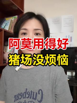 阿莫奎优惠40一公斤#所有养猪人