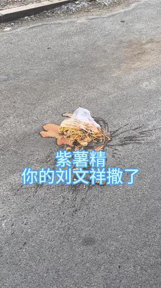 用一句话证明你知道紫薯精。紫薯精你的刘文祥撒了。
#遇到事情不要慌 #刘文祥麻辣烫 #紫薯精