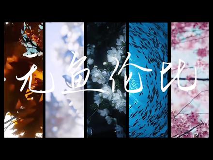 无鱼伦比的爱情,无鱼伦比的幸福#鱼仔的人生纪录片 @南杳 #文字