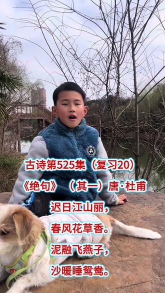 古诗第525集(复习20)
《绝句》 ( 其一)唐·杜甫
迟日江山丽,
春风花草香。
泥融飞燕子,
沙暖睡鸳鸯。#记录我和动物的互动日常