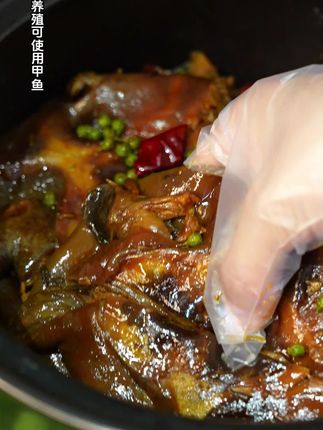 #强烈推荐 #地方特色美食 #美食推荐 #快来一起尝个鲜 #解馋 快来吃夜宵,顺便道句晚安
