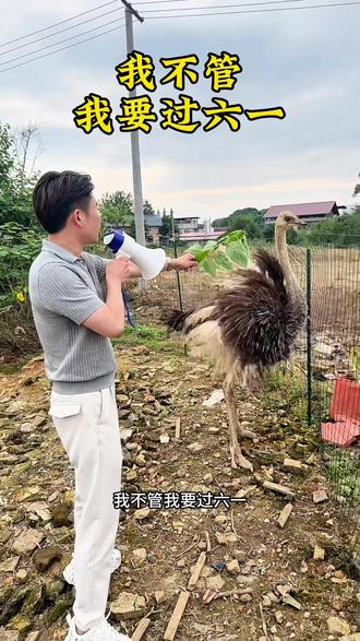#我不管我要过六一 虽然年纪大了,但我的智商完全可以过#乡村宠物故事 #柳公子