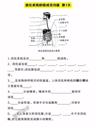 初中小四门如何巩固当天所学?推荐这本睡前默写,每天十分钟,知识巩固有提升#初中 #小四门