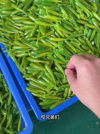 鲈渔者全尺寸到货,绿色卖的太快了,兄弟们可以多囤点#路亚饵 #t尾软虫 #鳜鱼季