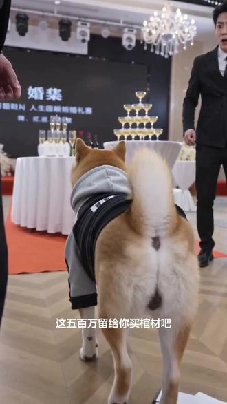 #AI豪门宴上的反转局 #随变ai随便玩 别说AI真好玩,小狗就得拍这个