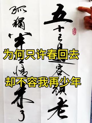 五十已过容颜老,孤独半生情未了,不知何时春来到,草长莺飞马儿跑,我是凡人不是仙,遇事只能问苍天,为何只许春回去,却不容我再少年#传统文化 #传承文化 #书法艺术