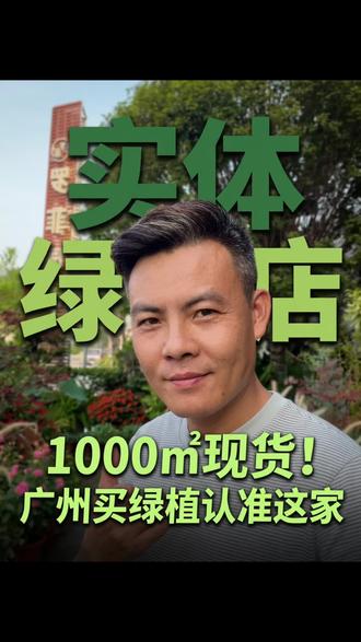 1000㎡的绿植大店,值不值得信任?
#广州花卉#盆栽绿植#庭院绿植#阳台绿植#办公室绿植