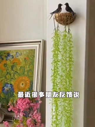 #家的样子 #家居好物分享