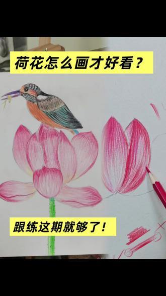 零基础🉑跟!荷花画法跟练版!