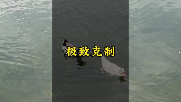 学会克制欲望,积累财富#积累 #过度透支 #流花湖公园 #人间清醒