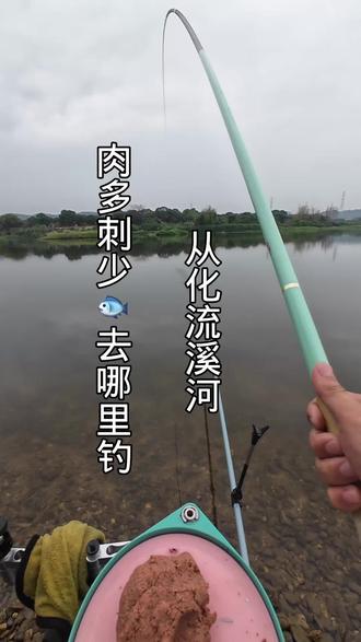 原本想钓土鲮的,没想到这里藏了这么多肉多刺少鱼香不腥,比土鲮还好吃的家伙,位置在视频后面#沃鼎王者神剑 #文聪饵料 #流溪河 #广州野钓去哪里 #溪流野钓