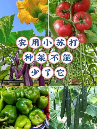 农用小苏打种菜少不了它#农业种植 #种植小技巧 #种菜 #小苏打 #抖音助农 @抖音小助手