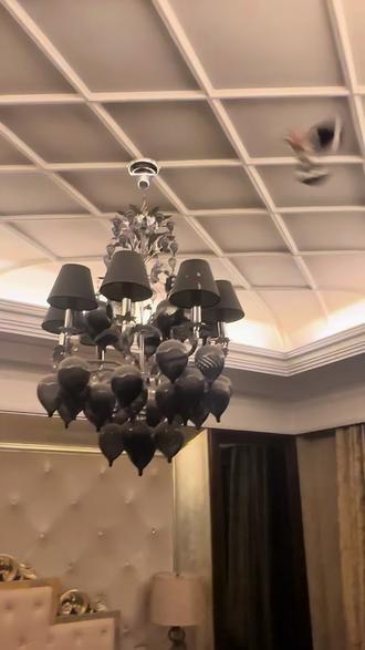 半夜家中偶遇不速之客,岂料是好运吉祥幸福美满的 到来。#一周年 #戴胜鸟 #好运连连