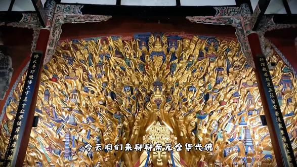 南无金华光佛#佛教智慧 #佛教文化 #佛教故事