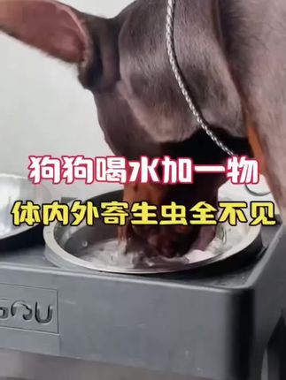 从小告诉孩子做个有教养的人,以后无论走到哪里都受欢迎#亲子教育 #家长必读 #正确的引导孩子陪伴孩子 #孩子教育 #育儿育己