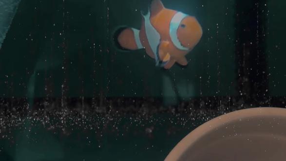 放下个人素质,享受缺德人生。风吹哪页读哪页哪页不懂撕那页。#治愈 #小丑鱼 #上热搜 #抖音创作者激励计划 #抖音创作者大会