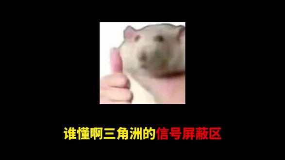 各位当初熟图的时候被信号屏蔽区坑了多少哈佛币呢 #三角洲行动 #三角洲烽火行动 #三角洲攻略