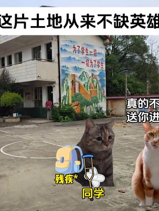 这片土地从来不缺英雄!#猫meme#英雄#感动
