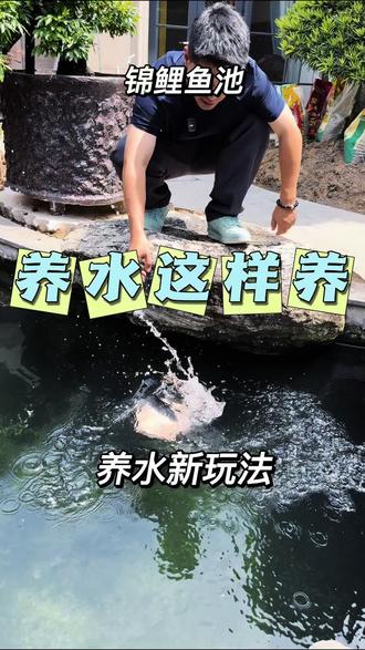 鱼池养水这样操作 #鱼池水质净化 #鱼池过滤技巧
养那么多大鱼,养水的简单新操作
#锦鲤 #锦鲤鱼池 #锦鲤怎么养才能养好
@DOU+小助手 @DOU+上热门 @抖音小助手 @抖音作者助手