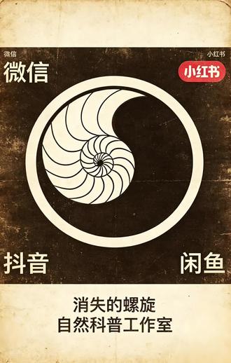 这是什么生物? #生物进化历程 #第一期科普 #沉默的螺旋 #生物进化的历程