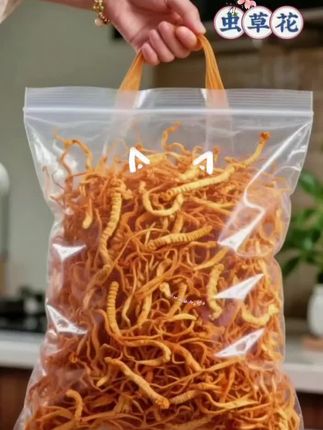 精选深山新鲜虫草花(北虫草/金虫草),菌肉肥厚、营养饱满,无论是炖汤增鲜,还是炒肉提香,都能让家常滋味更添醇厚#高山虫草花#虫草花鸡汤#虫草花泡茶#虫草花#舌尖上的味道