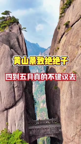 黄山很美,但四五月份千万不要贸然前来。#黄山旅游攻略 #黄山旅游#黄山旅行攻略