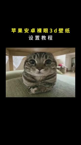 裸眼3d壁纸设置教程 #小猫咪裸眼3d壁纸 小猫咪裸眼3d壁纸vivo 小猫咪裸眼3d壁纸怎么弄 小猫咪裸眼3d壁纸ipad 雷霆小猫咪裸眼3d壁纸 裸眼3d壁纸 苹果裸眼3d壁纸 小猫咪裸眼3d ipad动态壁纸 #ipad动态壁纸怎么设置 ipad裸眼3d壁纸 ipad动态壁纸#醒图焚决的神 #醒门永存 #人类对醒图的开发不足百分之一 ipad壁纸 ipad壁纸超清4k原图 ipad动态壁纸软件 动态壁纸 iphone动态壁纸 ipad动态壁纸纽约