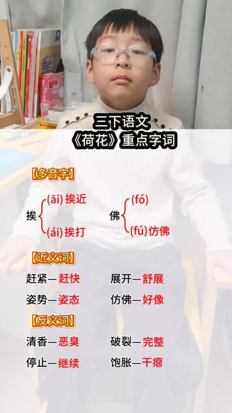 三下语文《荷花》重点字词梳理#三下语文#小学语文知识点#每天学习一点点