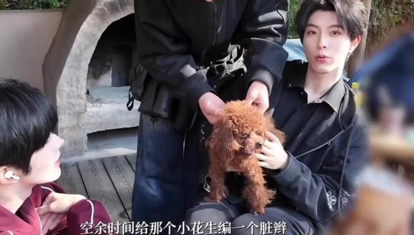 幸福已经说倦了#向佐 #新年快乐 #蒸蒸日上 #蒸糯米 #团子