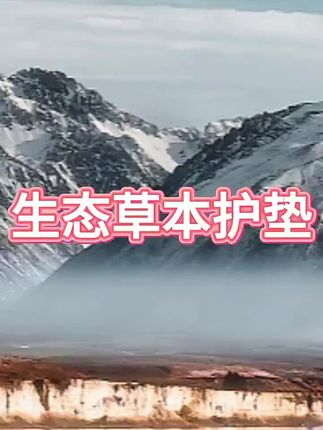#生态草本护垫 #草本护垫 #草本护垫雪莲贴