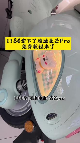 1186元买的雅迪麦芒Pro到啦,攻略给大家做好了#雅迪电动车 #雅迪麦芒#麦芒Pro #雅迪麦芒Pro