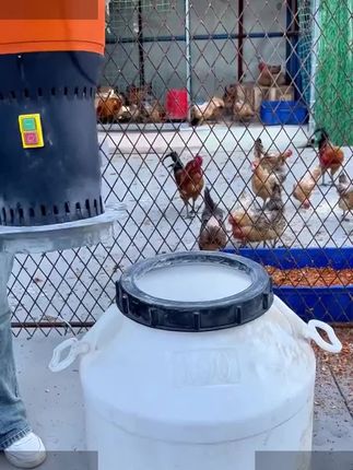 玉米粉碎机养殖专用喂鸡鸭鹅牛羊猪新型三农产品五谷干料粉碎机 #谷物粉碎机