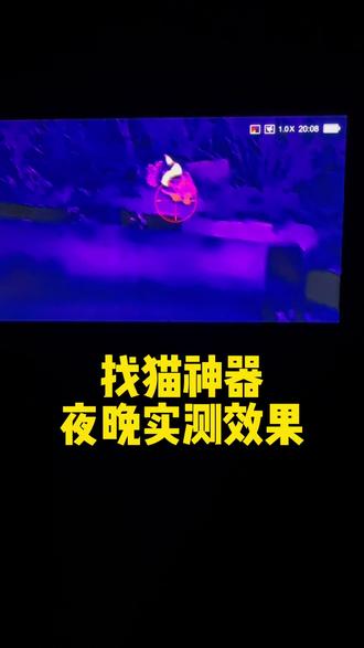 芜湖热成像夜视仪出租#找猫神器 #热成像实测 #猫咪丢失找回